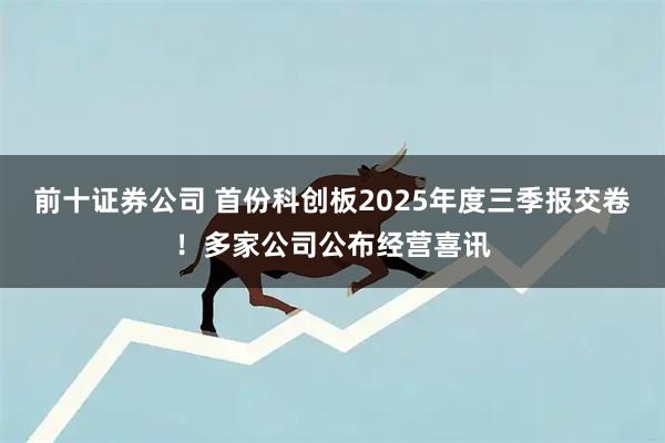 前十证券公司 首份科创板2025年度三季报交卷!多家公司公布经营喜讯