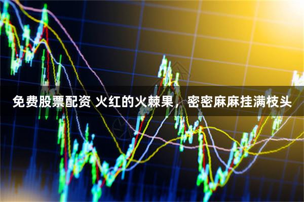 免费股票配资 火红的火棘果,密密麻麻挂满枝头